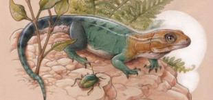 Nueva especie de lagarto fósil de 84 millones de años