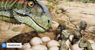 Descubren nido con más de 100 huevos de dinosaurios en la patagonia argentina