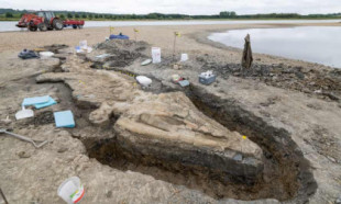 Enorme ‘dragón marino’ nombrado uno de los mayores hallazgos de fósiles del Reino Unido [ENG]