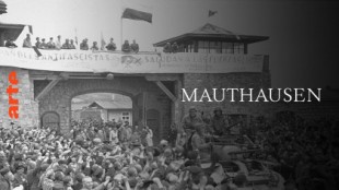 Los resistentes de Mauthausen - Las fotografías del campo de concentración