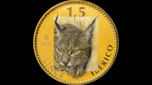 La lince (sí, la lince) que sale en la moneda bullion de la FNMT es real y tiene nombre