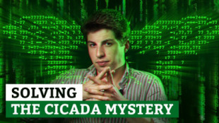 La aventura de Cicada 3301: un misterioso juego interminable de códigos que lleva más de una década en Internet
