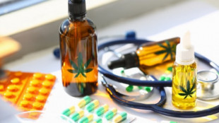 El cannabis medicinal comienza su andadura en el Congreso