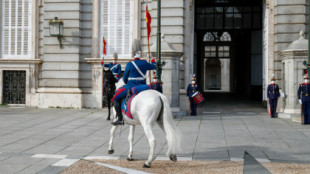 El Estado gasta 830.000 euros en mantener a los 20 caballos del Palacio Real