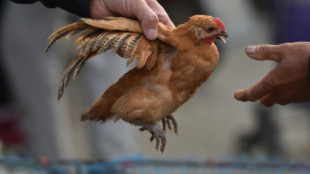China detecta el primer caso de gripe aviar H3N8 en humano