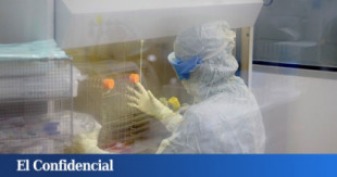 España suma ya 26 casos de hepatitis aguda de origen desconocido en niños