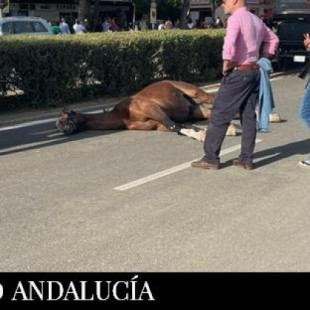 Un caballo muerto y varios incidentes de abuso animal en la Feria de Abril