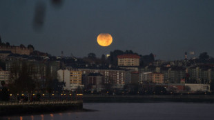 Una noche para ver el cielo: eclipse lunar y conjunción de cuatro planetas