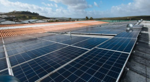 Alemania respalda a España para lograr una gran planta de módulos solares