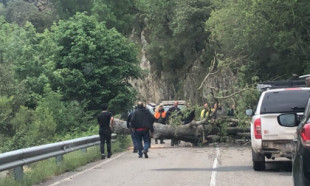 La protesta del Alto Najerilla se pasa de frenada: 50 árboles cortados y 100.000 euros en daños
