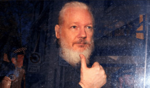 Nadie pudo desmentir los informes de Wikileaks, pero el preso es Assange