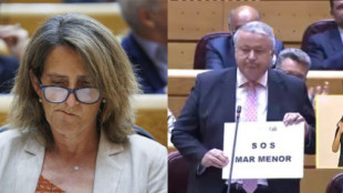 A insultos en el Senado por el Mar Menor: Ribera llama a Bernabé "mentiroso" y "cínico"