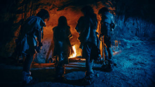 Investigadores encuentran pruebas de uso de fuego de hace 800.000 años