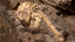 Estos fósiles de australopithecus son un millón de años más antiguos de lo que se pensaba