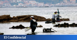 ¿Los últimos berberechos de las rías? Galicia se queda sin marisco