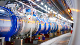 El CERN anuncia el descubrimiento de nuevas partículas &quot;exóticas&quot;