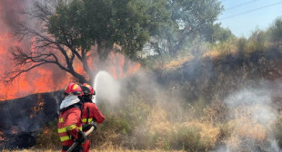 Estiman que el fuego ha abrasado a unos 80.000 animales en los incendios de Extremadura