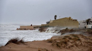 Auguran "importantísimos daños ambientales" por el plan para regenerar playas de la Comunidad Valenciana