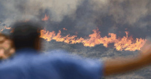 El incendio del Moncayo en situación "crítica": tres focos activos, un frente de 50 kilómetros y 8.000 hectáreas arrasadas