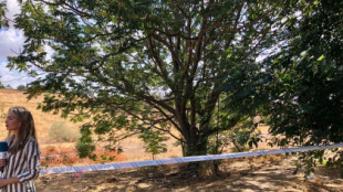 Encuentran el cadáver de un hombre atado de pies y manos a un árbol en Alcalá de Guadaíra