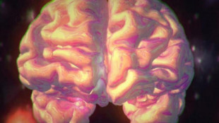 Un fármaco frena el deterioro cognitivo del alzheimer en un gran ensayo clínico