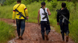 Colombia: diez grupos armados anuncian un cese al fuego unilateral para negociar la paz
