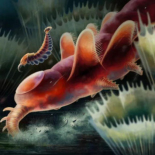 Descubren misteriosas formas de vida oceánicas anteriores a los dinosaurios