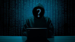 Exculpado de tener porno infantil un informático de Alicante que rastreaba la Deep Web y alertaba a la Guardia Civil