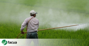 Un estudio realizado durante 22 años asocia la exposición a pesticidas con el adelanto en la pubertad